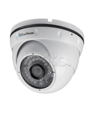 IP-камера видеонаблюдения уличная купольная EverFocus EBN-268 в Копейске IP-камеры Pintop.ru